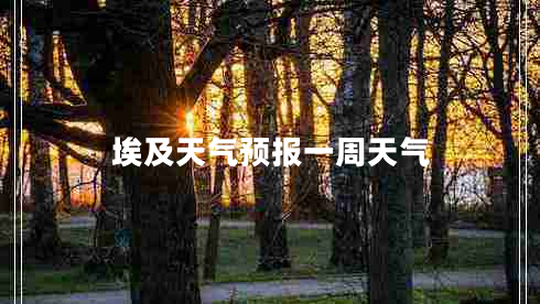 埃及天氣預(yù)報一周天氣