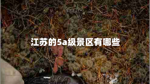 江蘇的5a級(jí)景區(qū)有哪些