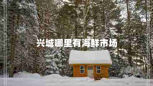 興城哪里有海鮮市場