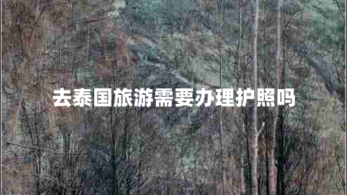 去泰國(guó)旅游需要辦理護(hù)照嗎