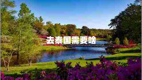 去泰國(guó)需要啥