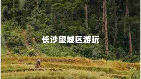 長(zhǎng)沙望城區(qū)游玩