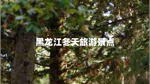 黑龍江冬天旅游景點