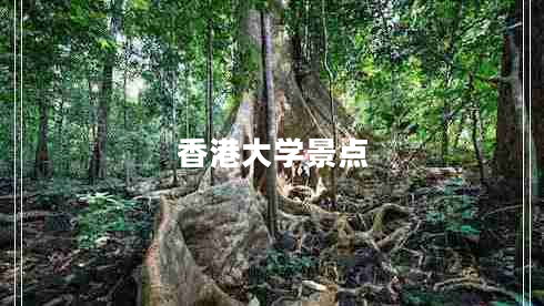 香港大學景點