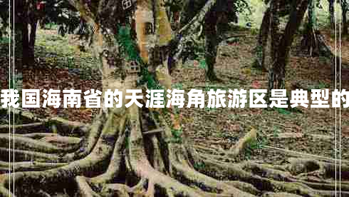 我國海南省的天涯海角旅游區(qū)是典型的