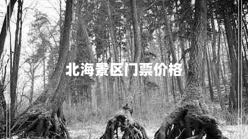 北海景區(qū)門票價格