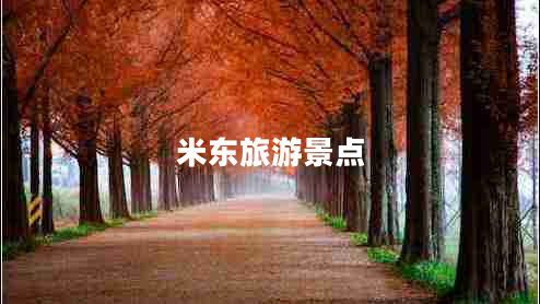 米東旅游景點