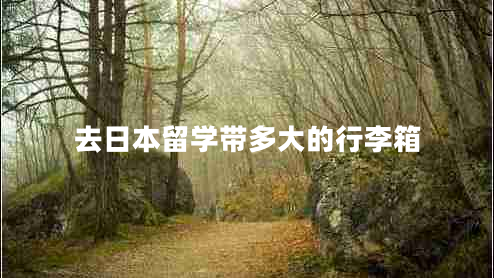 去日本留學帶多大的行李箱