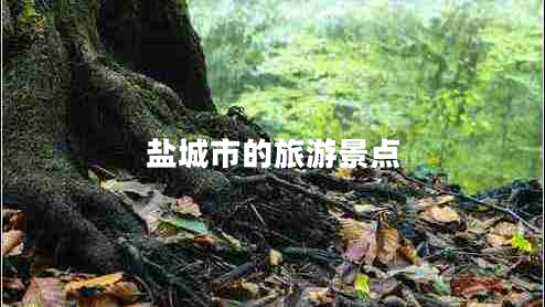 鹽城市的旅游景點