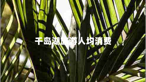 千島湖旅游人均消費(fèi)
