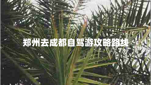鄭州去成都自駕游攻略路線