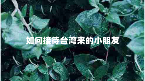 如何接待臺(tái)灣來的小朋友