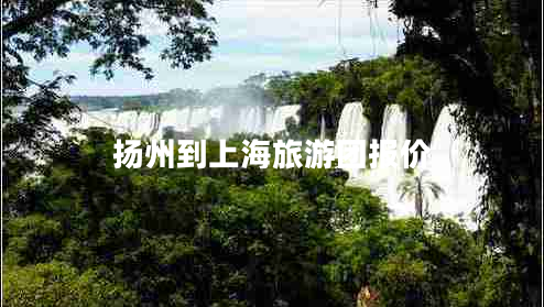 揚(yáng)州到上海旅游團(tuán)報(bào)價(jià)