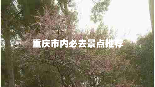 重慶市內(nèi)必去景點推薦
