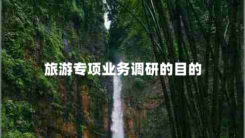 旅游專項業(yè)務調研的目的