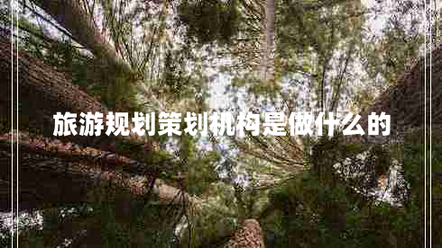 旅游規(guī)劃策劃機(jī)構(gòu)是做什么的