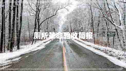廁所革命驗(yàn)收簡報(bào)