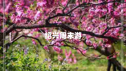 紹興周末游 紹興周末游