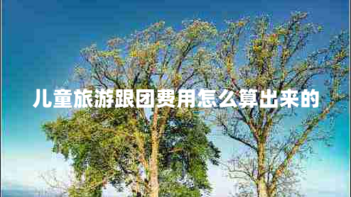 兒童旅游跟團費用怎么算出來的