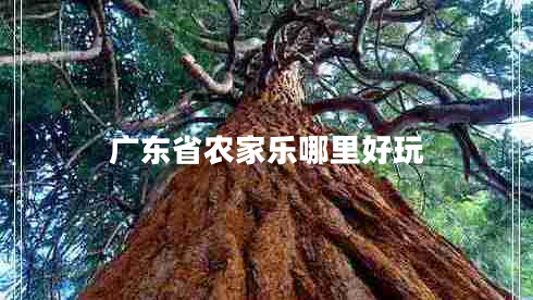 廣東省農(nóng)家樂(lè)哪里好玩
