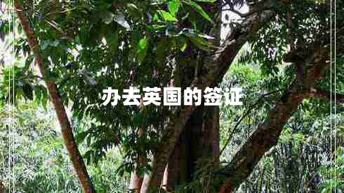辦去英國(guó)的簽證