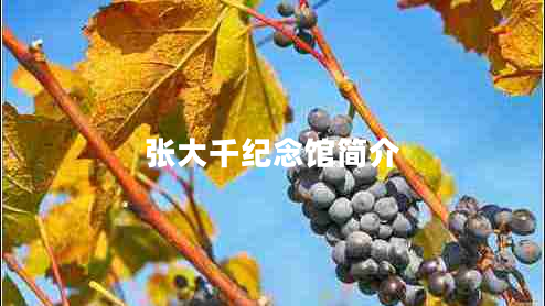 張大千紀(jì)念館簡(jiǎn)介
