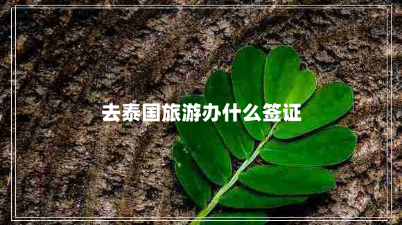 去泰國(guó)旅游辦什么簽證