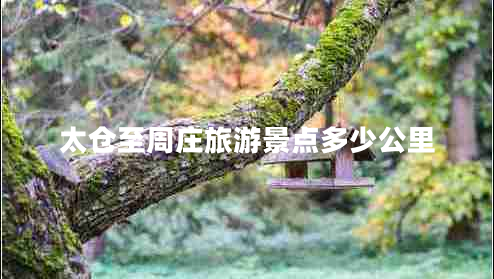 太倉(cāng)至周莊旅游景點(diǎn)多少公里