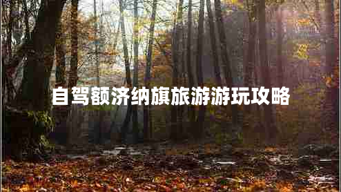自駕額濟(jì)納旗旅游游玩攻略