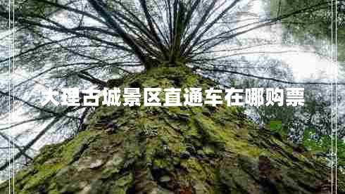 大理古城景區(qū)直通車(chē)在哪購(gòu)票