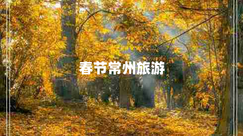 春節(jié)常州旅游 春節(jié)常州旅游