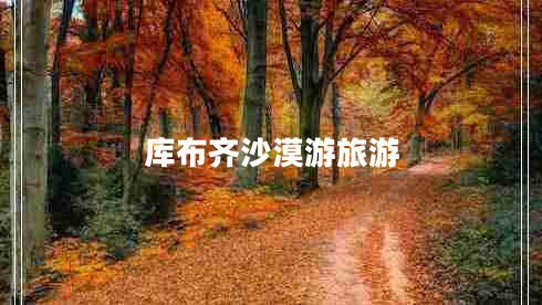 庫(kù)布齊沙漠游旅游