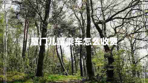 廈門兒童乘車怎么收費