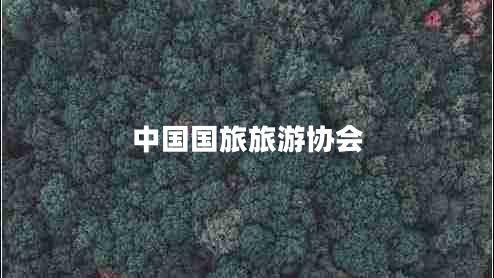中國國旅旅游協(xié)會