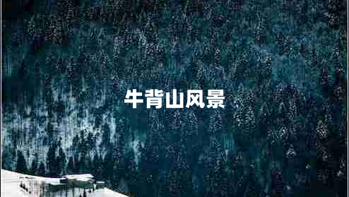 牛背山風景