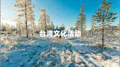 臺灣文化活動