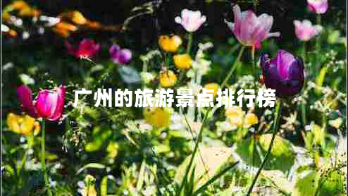 廣州的旅游景點排行榜