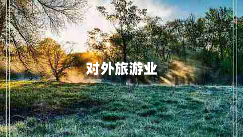 對(duì)外旅游業(yè)