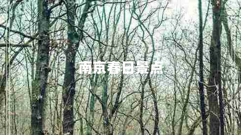 南京春日景點