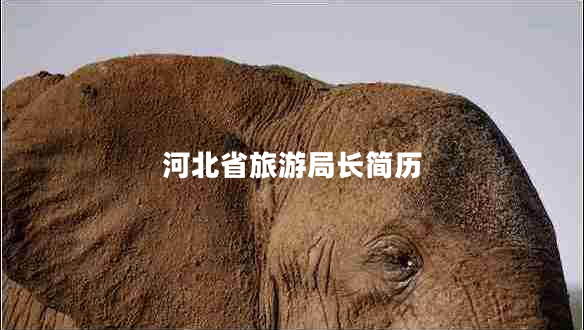 河北省旅游局長(zhǎng)簡(jiǎn)歷