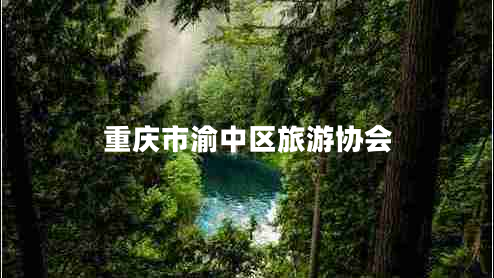 重慶市渝中區(qū)旅游協(xié)會