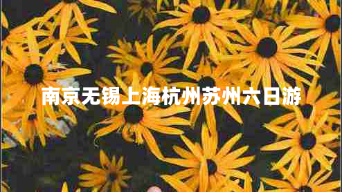 南京無錫上海杭州蘇州六日游