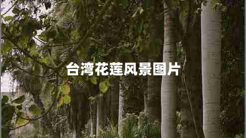 臺灣花蓮風景圖片