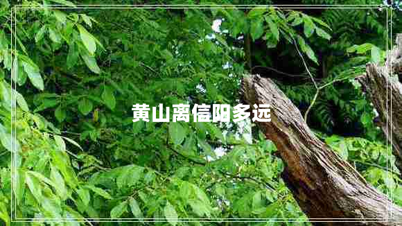 黃山離信陽多遠