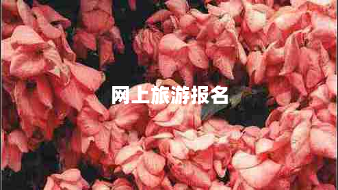 網上旅游報名