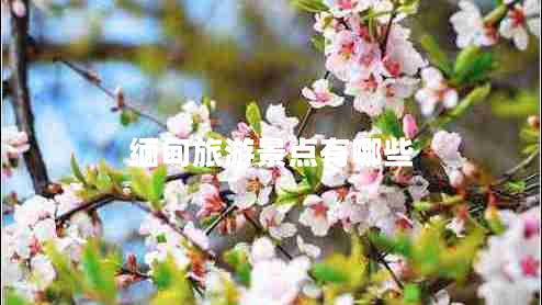 緬甸旅游景點有哪些