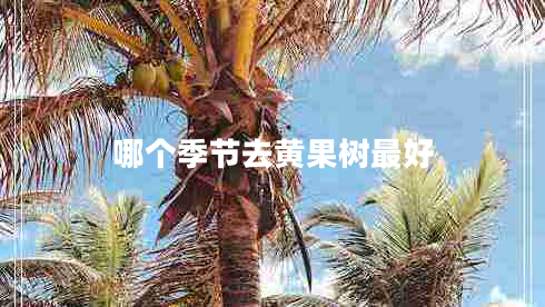 哪個(gè)季節(jié)去黃果樹(shù)最好 哪個(gè)季節(jié)去黃果樹(shù)最好