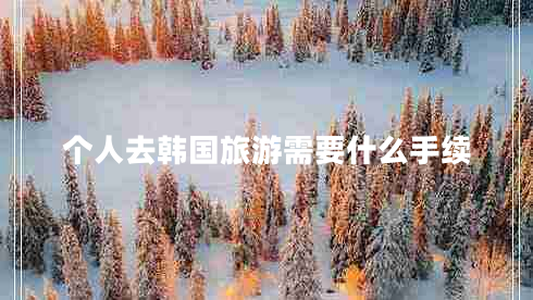 個(gè)人去韓國旅游需要什么手續(xù)
