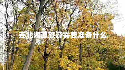 去北海道旅游需要準備什么