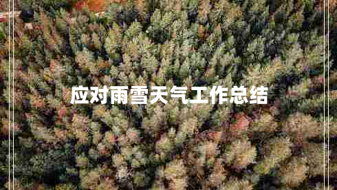 應(yīng)對(duì)雨雪天氣工作總結(jié)